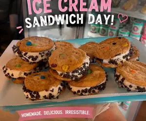 Ice Cream Cookie Sandwiches 